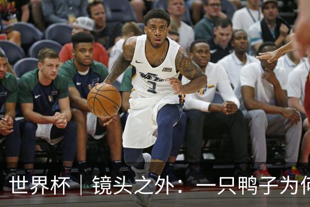 世界杯｜镜头之外：一只鸭子为何火遍世界杯？